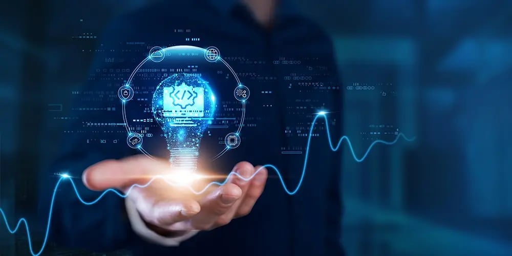 Software Lifecycle Management