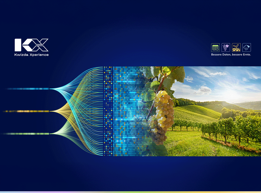 SuccessStory_Kwizda_Startseite