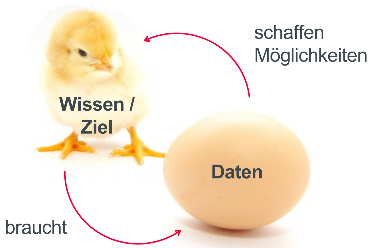 DataScienceKüken